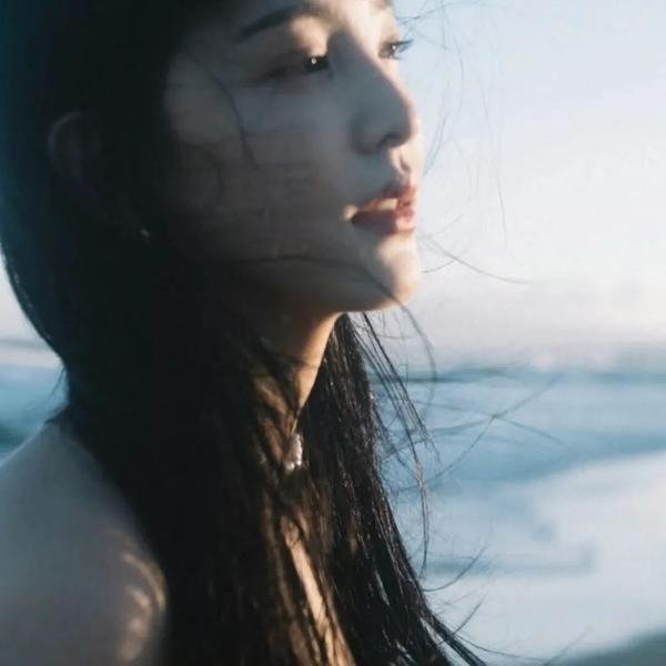 三只流浪猫