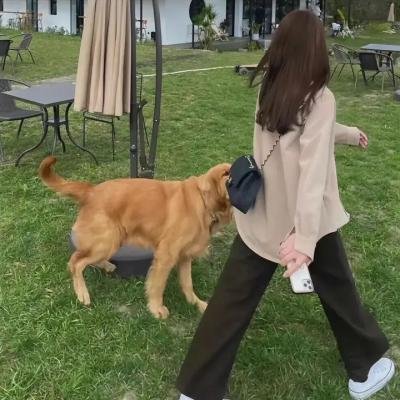 重见光明